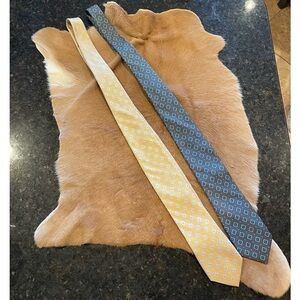 𝅺PRONTO Uomo men’s silk ties. One NWT